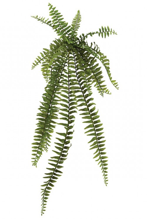 Ρίζα κρεμαστή  90Υx26.5cm