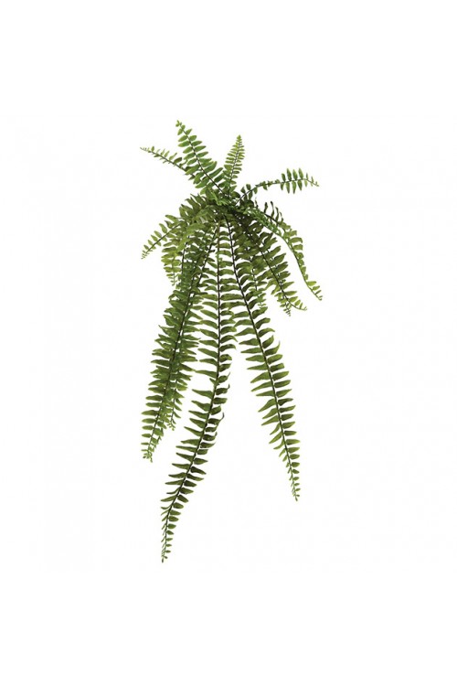 Ρίζα κρεμαστή  90Υx26.5cm