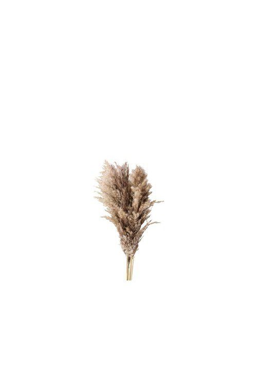 Τεχνητό αποξηραμένο μπουκέτο PAMPAS Natural 65-75cm 