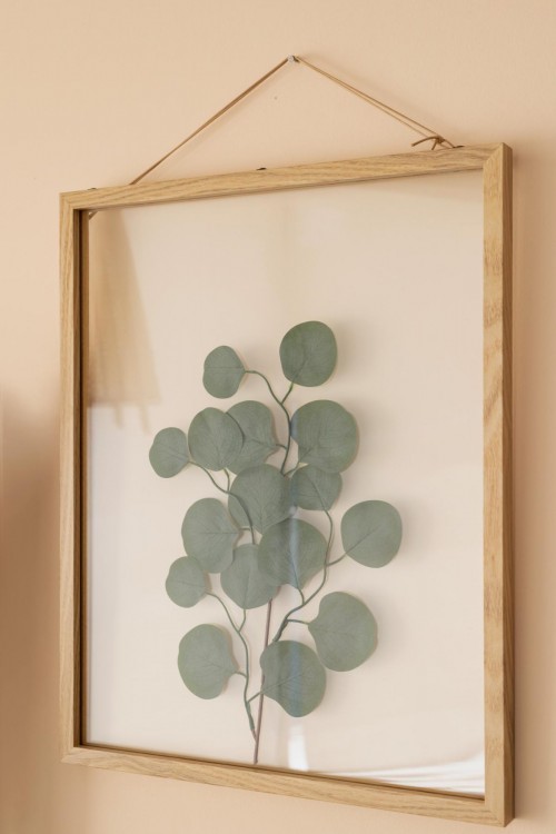 Κορνίζα Eucalyptus