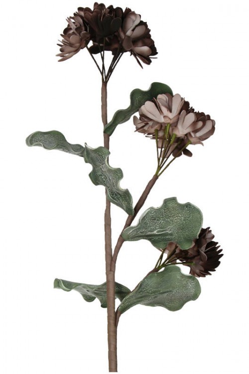 Λουλούδι Καφέ 90cm
