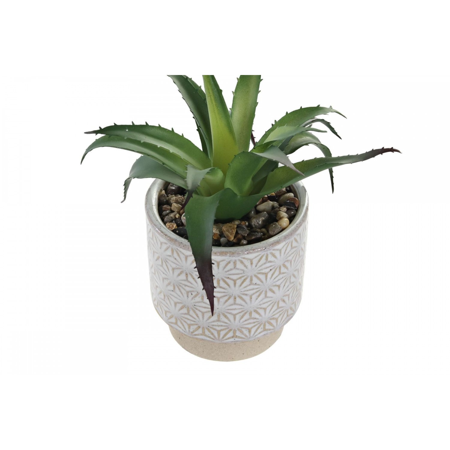 Κασπό Ceramic με πράσινο φυτό